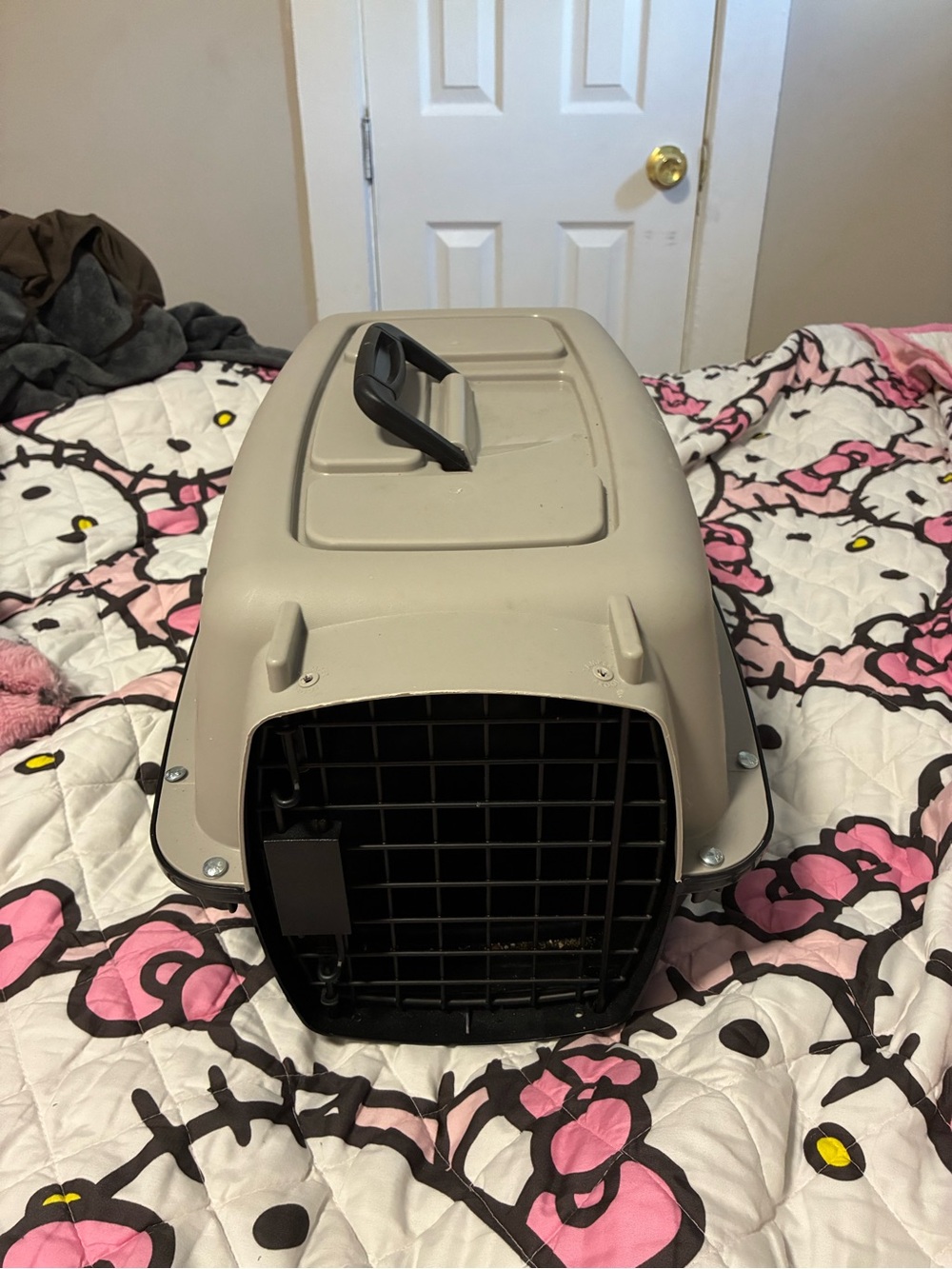 Small Pet Carrier - Beige Portable Travel Crate